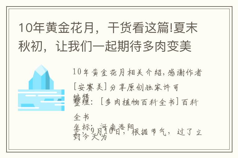 10年黄金花月，干货看这篇!夏末秋初，让我们一起期待多肉变美