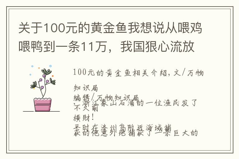 关于100元的黄金鱼我想说从喂鸡喂鸭到一条11万，我国狠心流放30年，为何还救不起一条鱼？