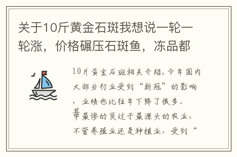 关于10斤黄金石斑我想说一轮一轮涨，价格碾压石斑鱼，冻品都被疯抢，养殖户卖到没货