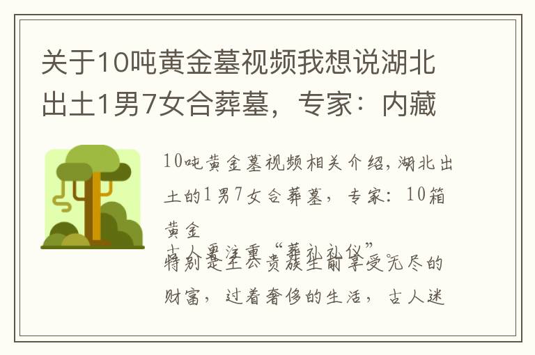 关于10吨黄金墓视频我想说湖北出土1男7女合葬墓，专家：内藏10箱黄金