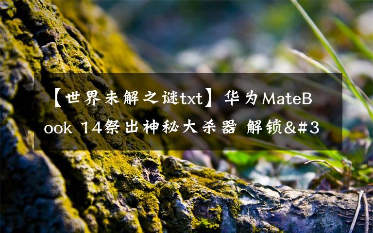 【世界未解之谜txt】华为MateBook 14祭出神秘大杀器 解锁"迅速下班"新姿势文章配图