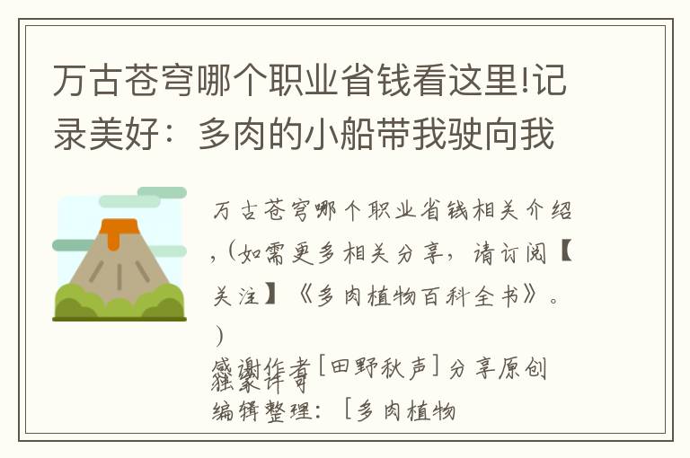 万古苍穹哪个职业省钱看这里!记录美好：多肉的小船带我驶向我心中的诗和远方