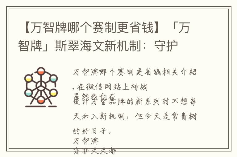 【万智牌哪个赛制更省钱】「万智牌」斯翠海文新机制：守护