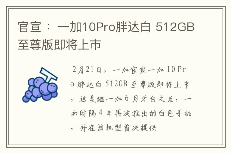 官宣 ：一加10Pro胖达白 512GB至尊版即将上市文章配图