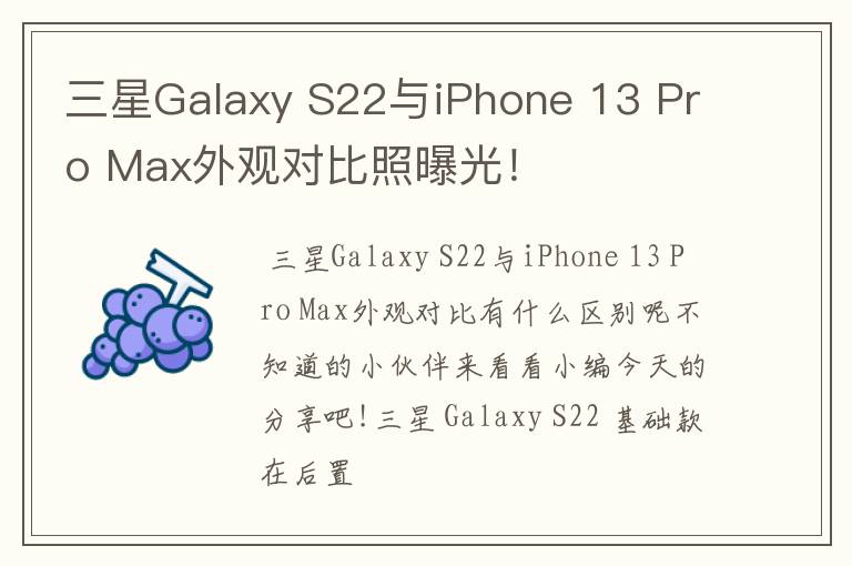 三星Galaxy S22与iPhone 13 Pro Max外观对比照曝光！