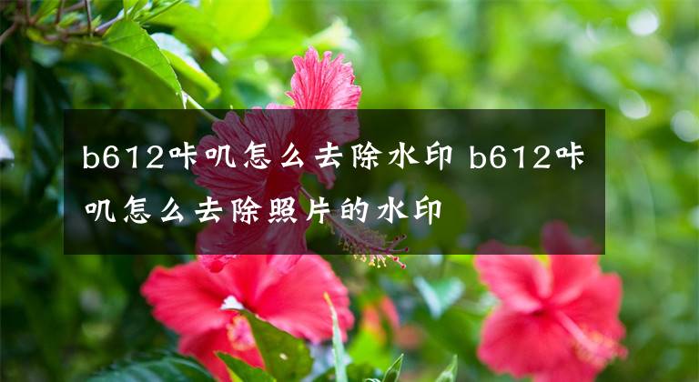 b612咔叽怎么去除水印 b612咔叽怎么去除照片的水印