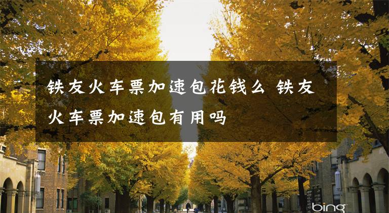 铁友火车票加速包花钱么 铁友火车票加速包有用吗文章配图