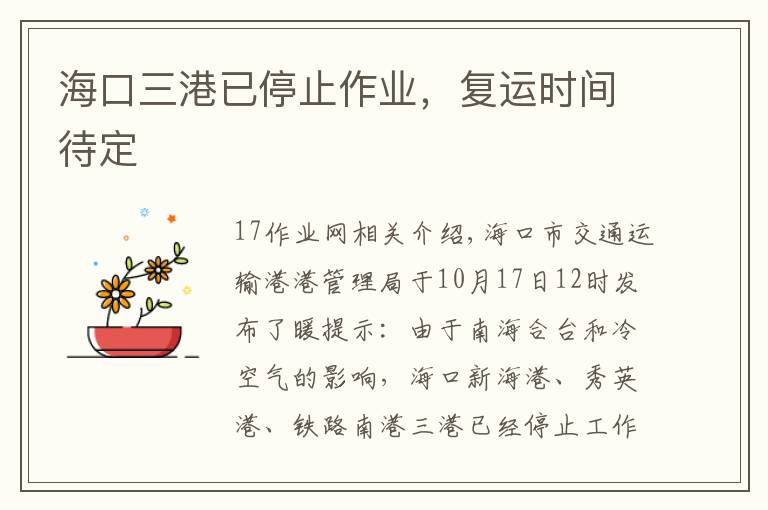 海口三港已停止作业，复运时间待定文章配图