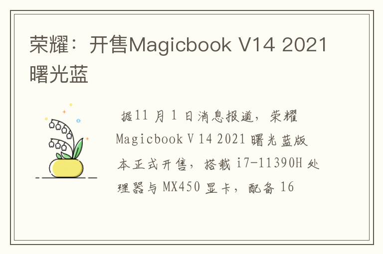 荣耀：开售Magicbook V14 2021曙光蓝