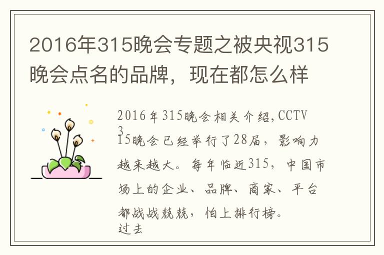 2016年315晚会专题之被央视315晚会点名的品牌，现在都怎么样了？