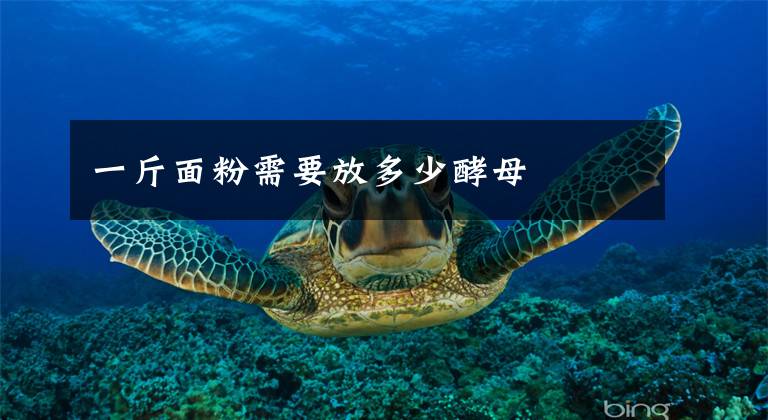 一斤面粉需要放多少酵母文章配图