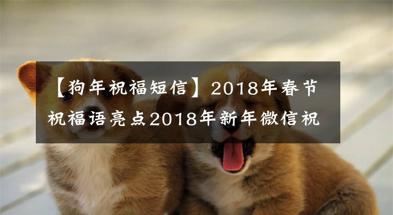 【狗年祝福短信】2018年春节祝福语亮点2018年新年微信祝福语