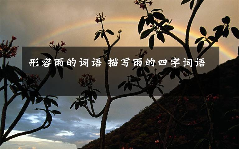 形容雨的词语 描写雨的四字词语文章配图