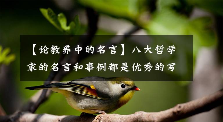 【论教养中的名言】八大哲学家的名言和事例都是优秀的写作素材文章配图