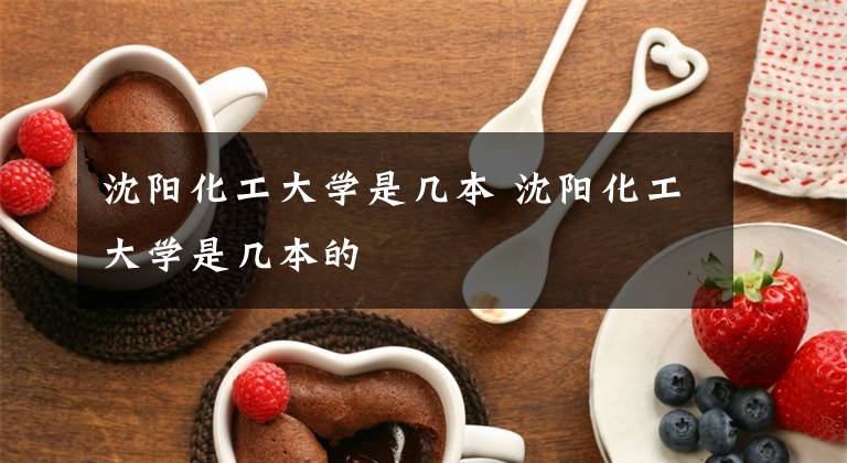 沈阳化工大学是几本 沈阳化工大学是几本的文章配图