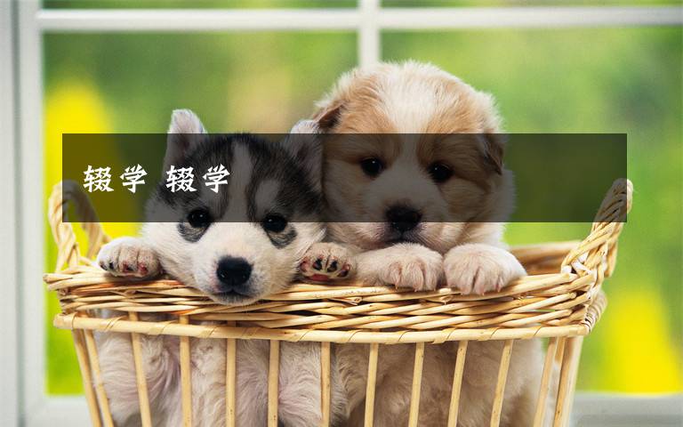 辍学 辍学文章配图