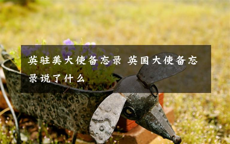 英驻美大使备忘录 英国大使备忘录说了什么