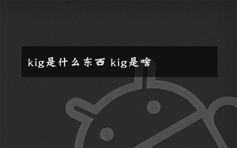 kig是什么东西 kig是啥