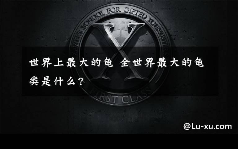 世界上最大的龟 全世界最大的龟类是什么?文章配图