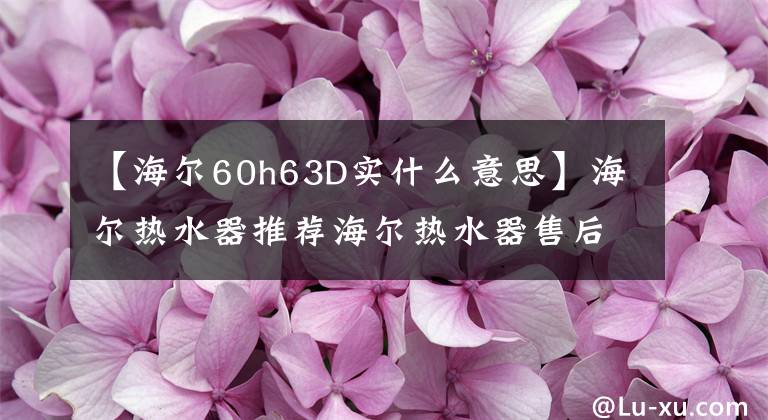 【海尔60h63D实什么意思】海尔热水器推荐海尔热水器售后服务怎么样？