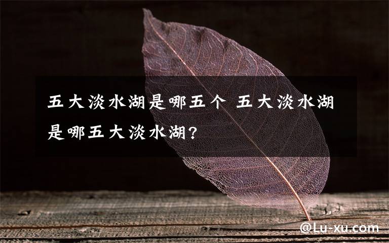 五大淡水湖是哪五个 五大淡水湖是哪五大淡水湖?文章配图