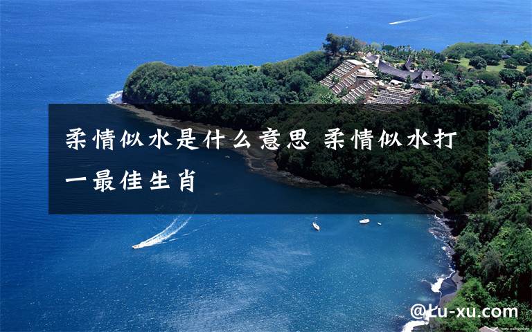 柔情似水是什么意思 柔情似水打一最佳生肖文章配图
