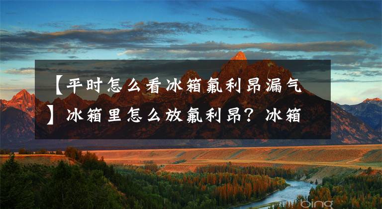 【平时怎么看冰箱氟利昂漏气】冰箱里怎么放氟利昂？冰箱里放氟利昂怎么判断？