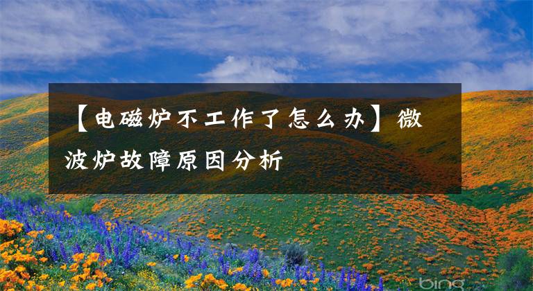 【电磁炉不工作了怎么办】微波炉故障原因分析文章配图