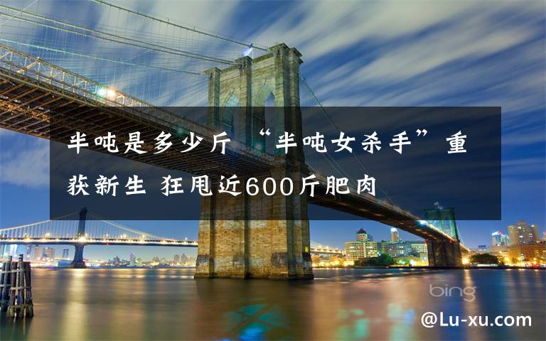 半吨是多少斤 “半吨女杀手”重获新生 狂甩近600斤肥肉