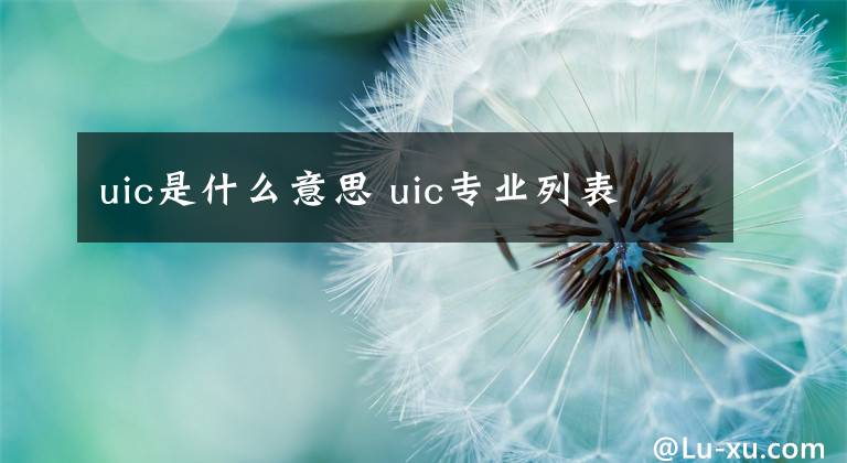 uic是什么意思 uic专业列表