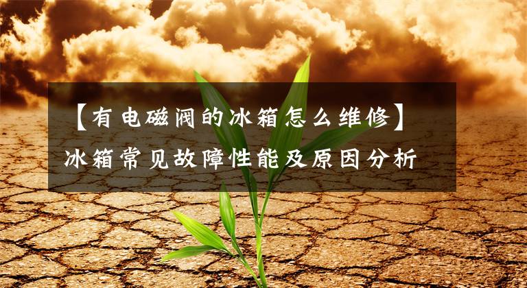 【有电磁阀的冰箱怎么维修】冰箱常见故障性能及原因分析文章配图