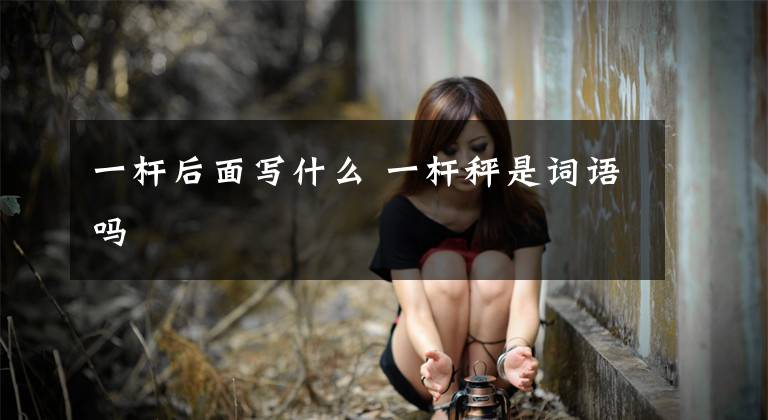 一杆后面写什么 一杆秤是词语吗文章配图