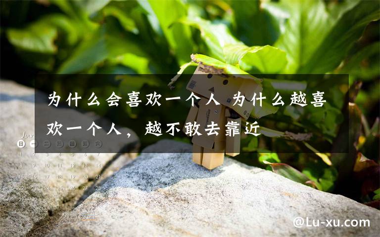 为什么会喜欢一个人 为什么越喜欢一个人，越不敢去靠近