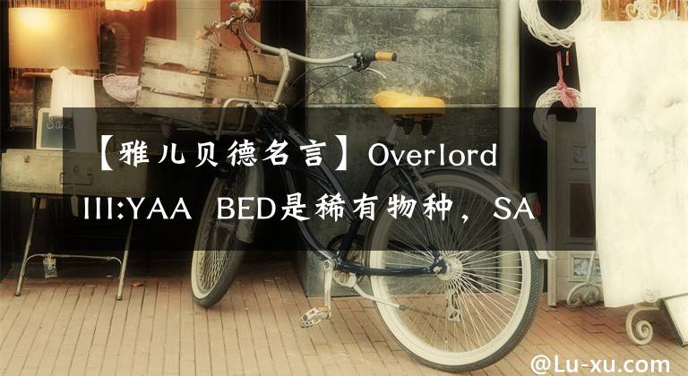 【雅儿贝德名言】Overlord  III:YAA  BED是稀有物种，SATIA说她有百合经验！