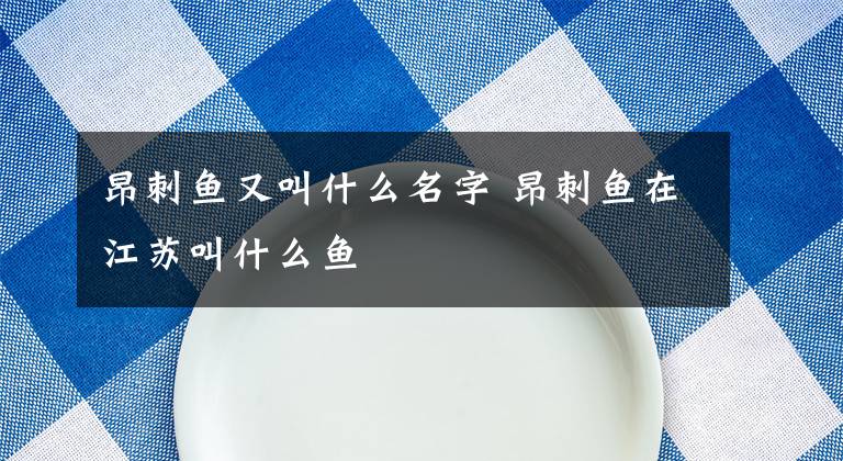 昂刺鱼又叫什么名字 昂刺鱼在江苏叫什么鱼