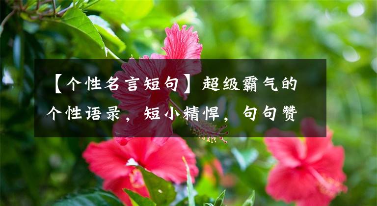 【个性名言短句】超级霸气的个性语录，短小精悍，句句赞文章配图
