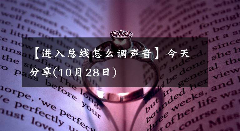 【进入总线怎么调声音】今天分享(10月28日)