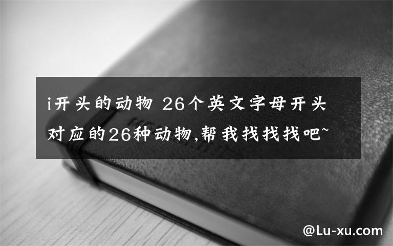 i开头的动物 26个英文字母开头对应的26种动物,帮我找找找吧~