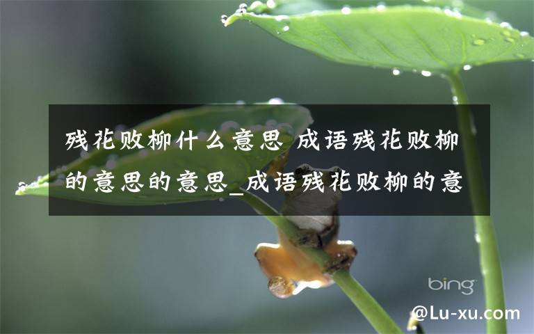 残花败柳什么意思 成语残花败柳的意思的意思_成语残花败柳的意思的故事 诗词大全文章配图