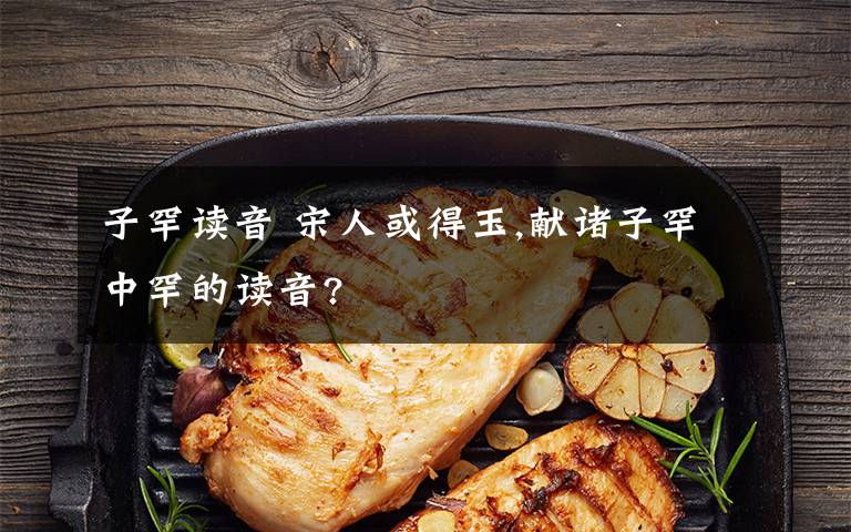 子罕读音 宋人或得玉,献诸子罕中罕的读音?文章配图