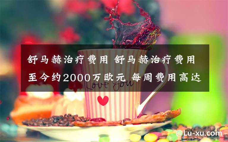 舒马赫治疗费用 舒马赫治疗费用至今约2000万欧元 每周费用高达10万欧元