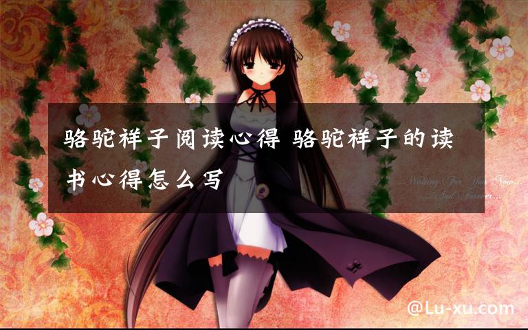 骆驼祥子阅读心得 骆驼祥子的读书心得怎么写文章配图