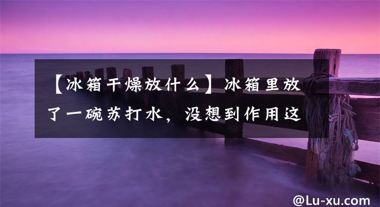 【冰箱干燥放什么】冰箱里放了一碗苏打水，没想到作用这么实用，解决了一直存在的难题。文章配图