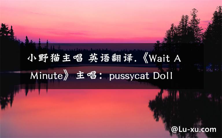 小野猫主唱 英语翻译.《Wait A Minute》主唱：pussycat Dolls（小野猫组合） 本人需要：歌词从头到尾完整的翻