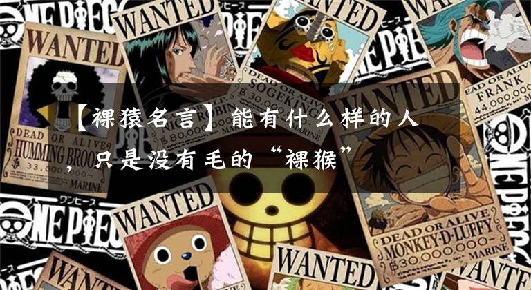 【裸猿名言】能有什么样的人，只是没有毛的“裸猴”文章配图