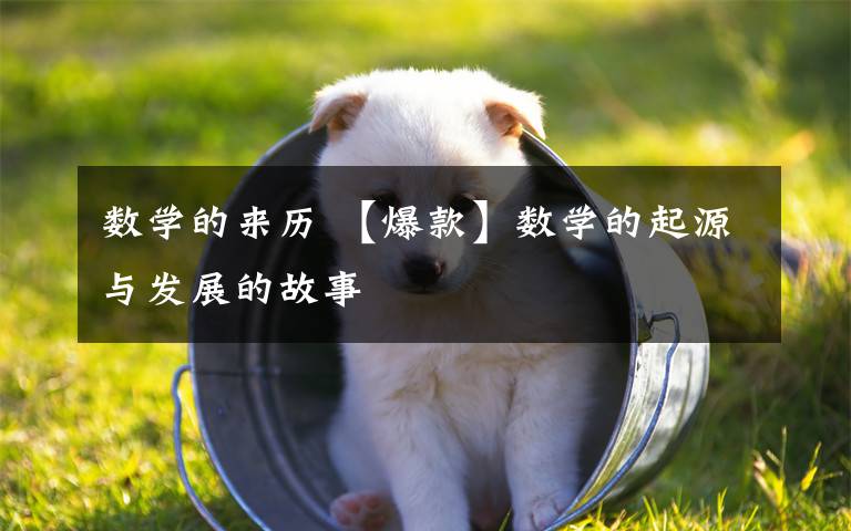 数学的来历 【爆款】数学的起源与发展的故事文章配图 数学的来历 【爆款】数学的起源与发展的故事文章配图