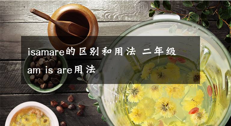 isamare的区别和用法 二年级am is are用法文章配图