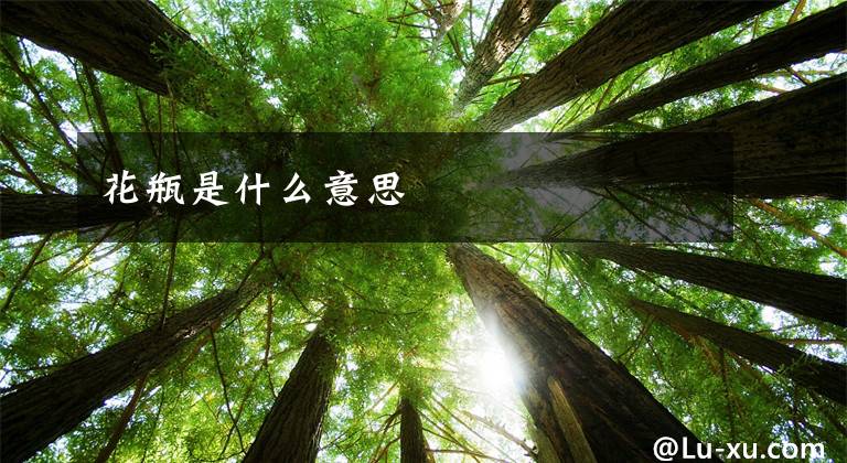 花瓶是什么意思文章配图