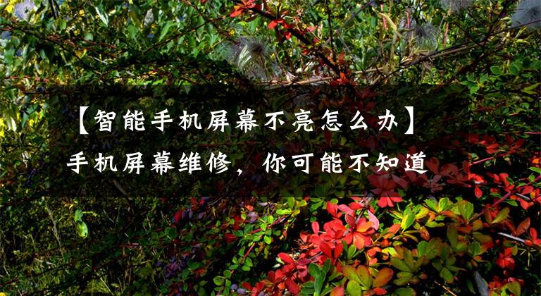 【智能手机屏幕不亮怎么办】手机屏幕维修，你可能不知道的小秘密！压力排，ITO修复技术共享文章配图