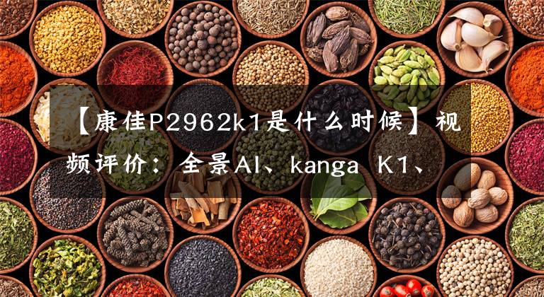 【康佳P2962k1是什么时候】视频评价：全景AI、kanga  K1、说话电视